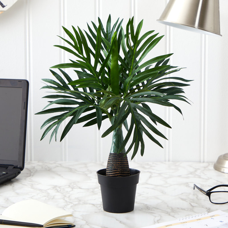 Plante de palmier artificielle 12,25" dans une doublure en pot