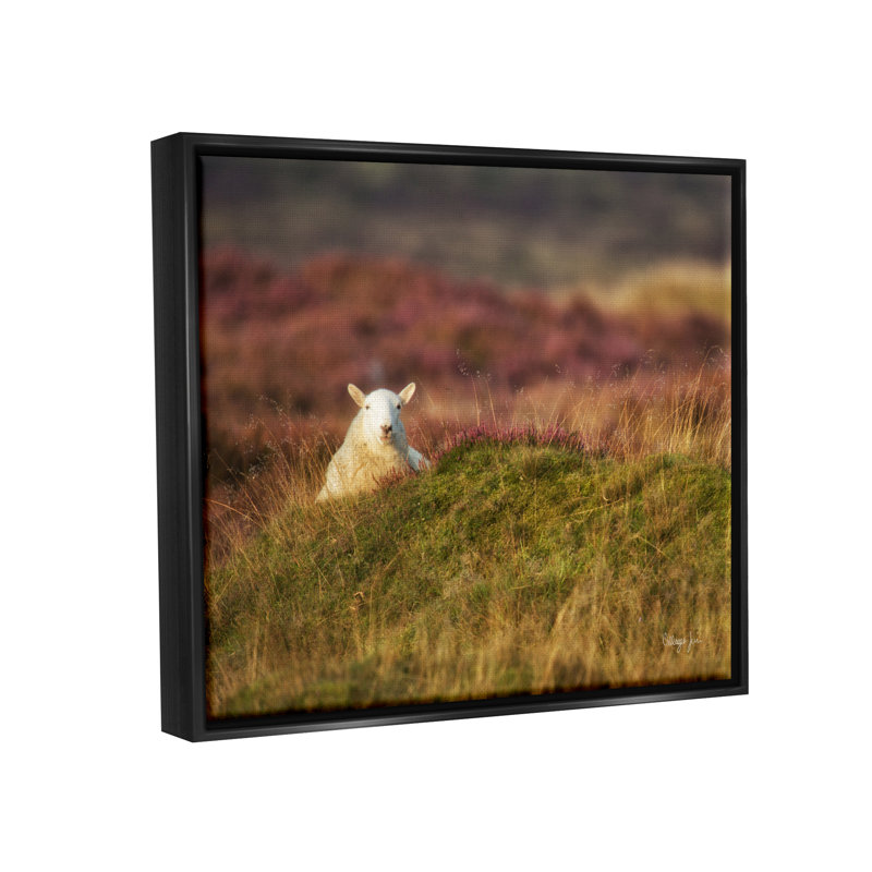 Lone Sheep in Meadow, campagne, campagne, par James Dobson - Photographie sur toile tendue, H 17 po x l 21 po x P 1,5 po