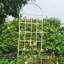 Treillis de jardin en métal 86,7 po x 19,7 po sur 2, rouille, pour plantes grimpantes: rose, raisin, pois, facile à installer, jasmin,
