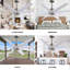 Ariella - Eight Blade Ceiling Fan - Brushed Brass Finish - Matte Black Blades-1855432150-1855432163