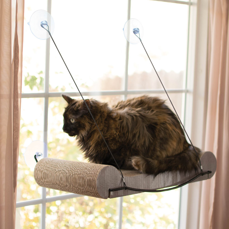 Perchoir pour chat 2 po Pelaez