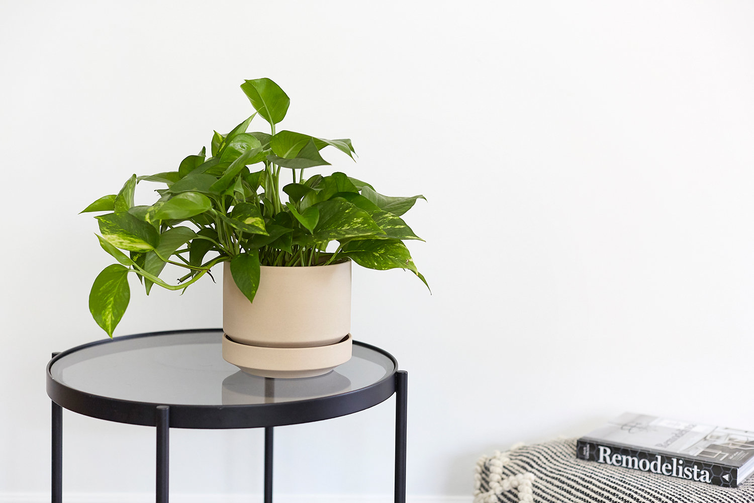 Byer 10" Ceramic Pot Planter, Oatmeal, 4.25" H x 5" W x 5" D