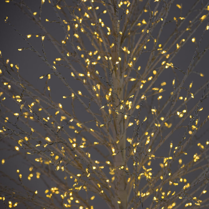 Birch Tree with Warm White LED Lights, 70.86" H x 20.8" L x 20.8" D, White
