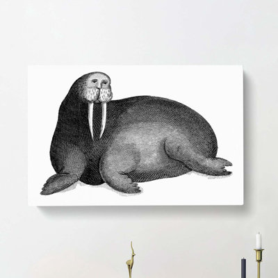 Walrus in Black & White by George Shaw - Wrapped Canvas