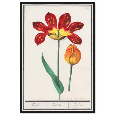 Art Remedy, reproduction d'art sur toile, tulipe rouge