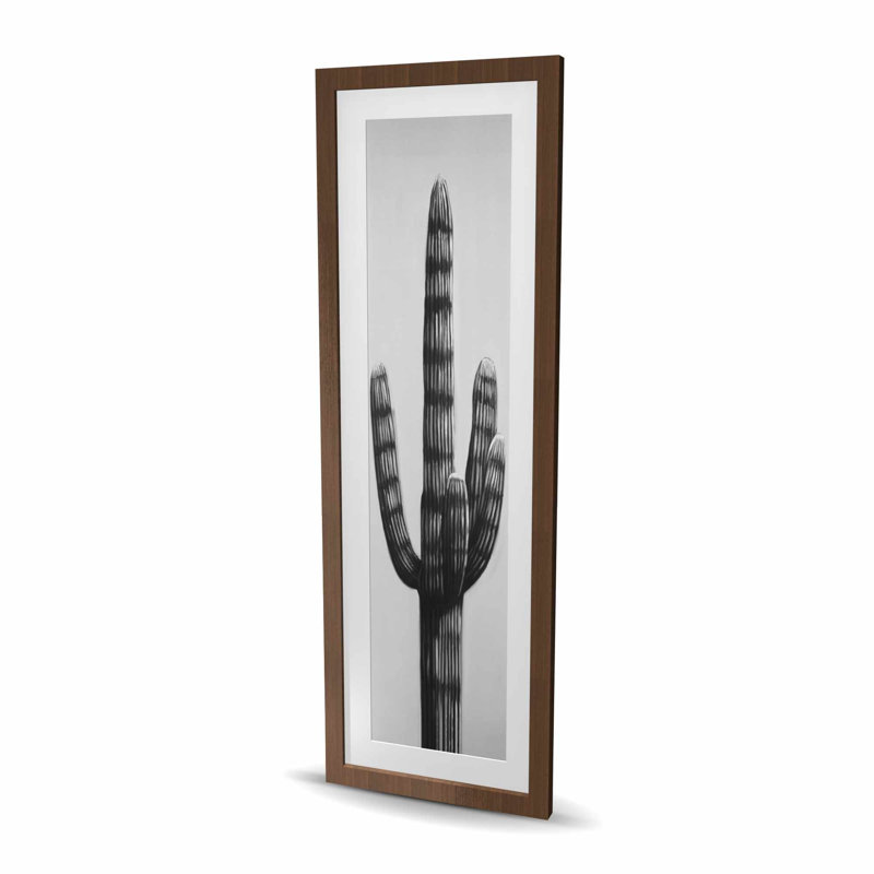 Large Cactus - Best Sellers Gray Framed Matted Print | Decor