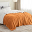 Couverture polaire sherpa douce et moelleuse BedBedsure GentleSoft pour lit simple, épaisse et confortable pour l'hiver et l'automne, idéale pour le canapé et le lit.-105504650-105504624