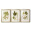 Feuilles antiques IV - impression encadrée sur mesure de qualité supérieure mate - 3 pièces-278011192