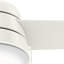 Ventilateur de plafond standard à 3 pales de 36 po avec lumières et chaînettes Aker-23681190