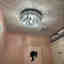 Customer photo 2 of 2