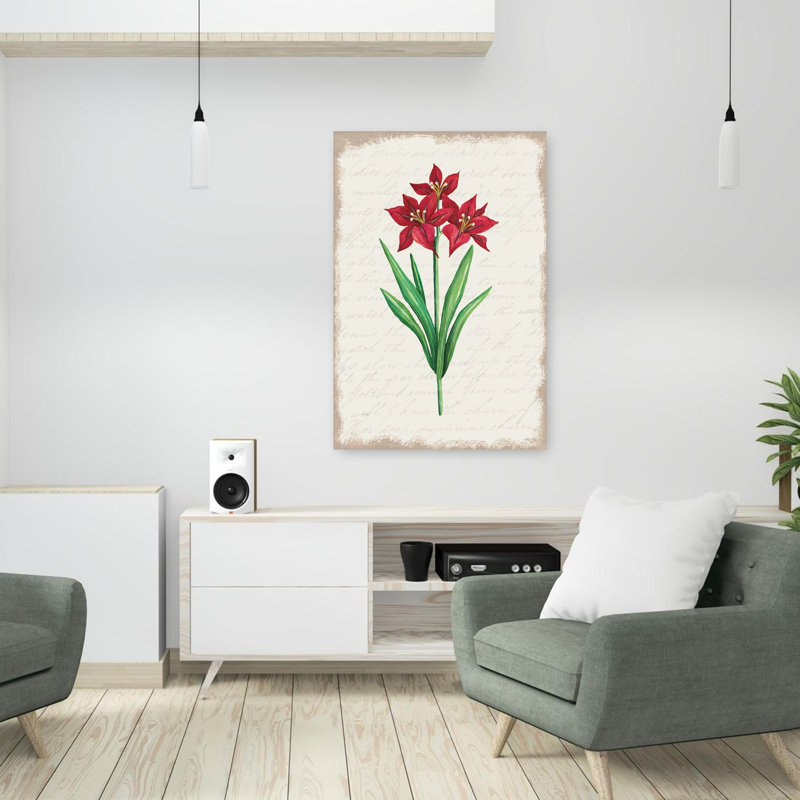Amaryllis rouge botanique II, H 36 po x l 24 po