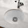 Whitehaus Collection 18" Undermount/drop-in Fireclay Kitchen Sink With Rear Center Drain Location