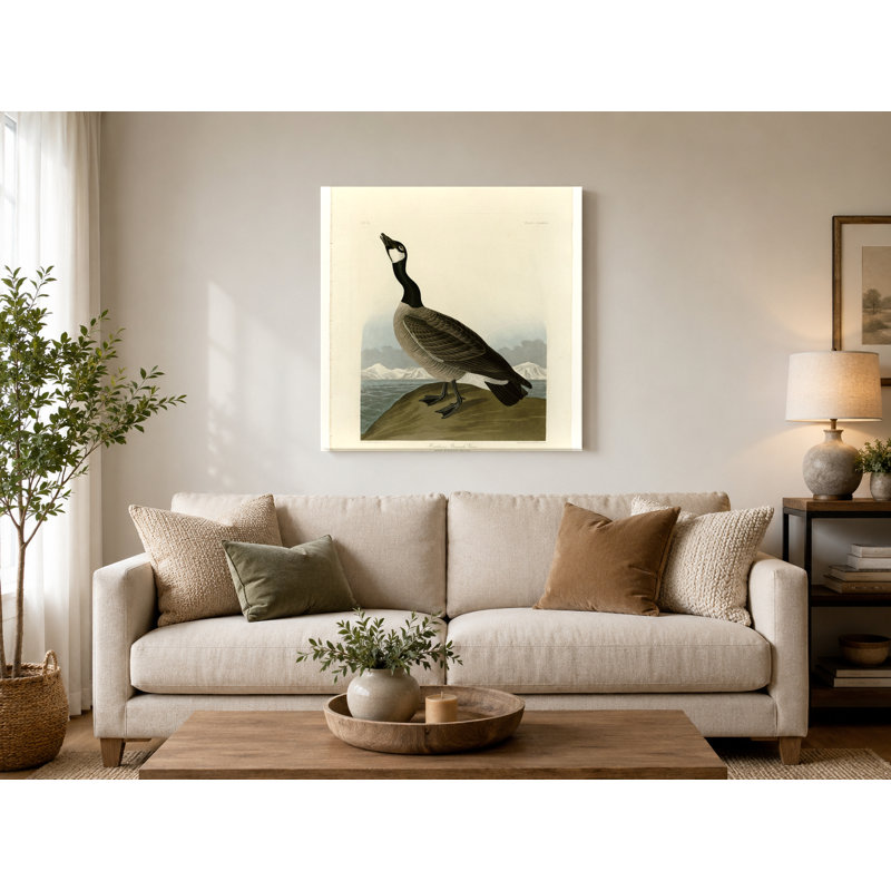 «Barnacle Goose» par Hutchins, plaque CCL XXVII - art mural carré sur toile, L 16 po x H 16 po