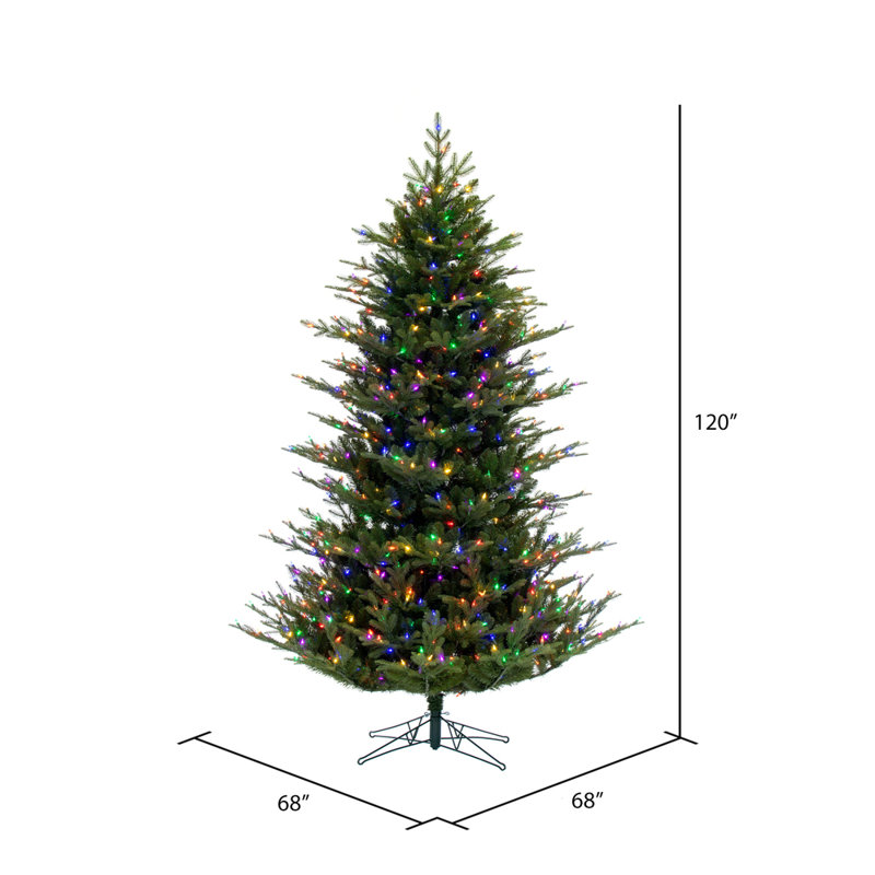 North Shore 10' H Lighted Artificial Fir Christmas Tree