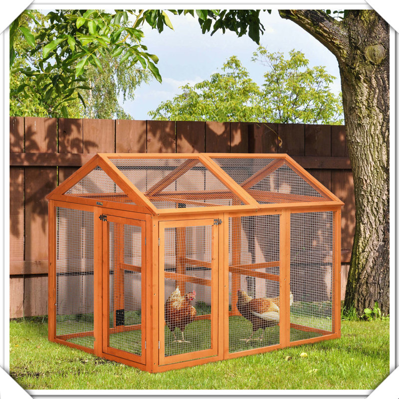 Conception de poulailler en bois
