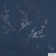 Bird Watching Peel and Stick Wallpaper By Cynthia Rowley