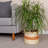 Household Essentials Cardboard/Paper Basket