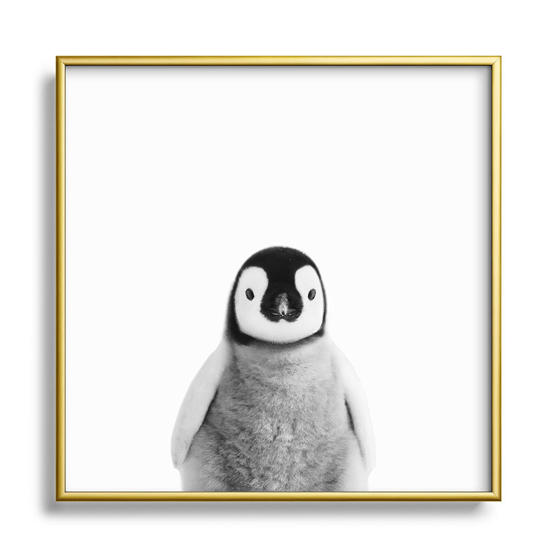 Bébé manchot noir et blanc - photographie avec cadre photo sur verre, H 10 po x l 10 po x P 1 po, Or