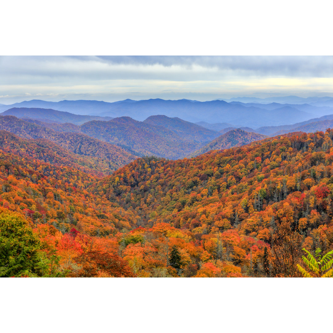 Leinwandbild Great Smoky Mountains-Nationalpark von North Board