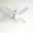 52'' Ceiling Fan with Light Kit-1189167686