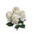 Rose blanc est en rupture de stock