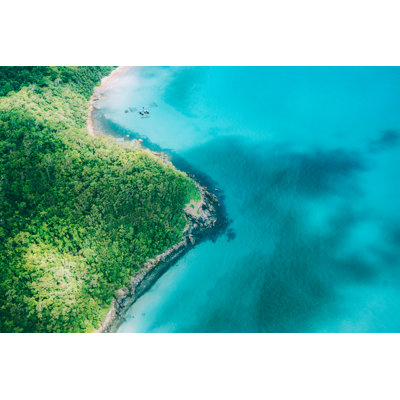 Cape Tribulation, Australia by TraceRouda - Wrapped Canvas Print