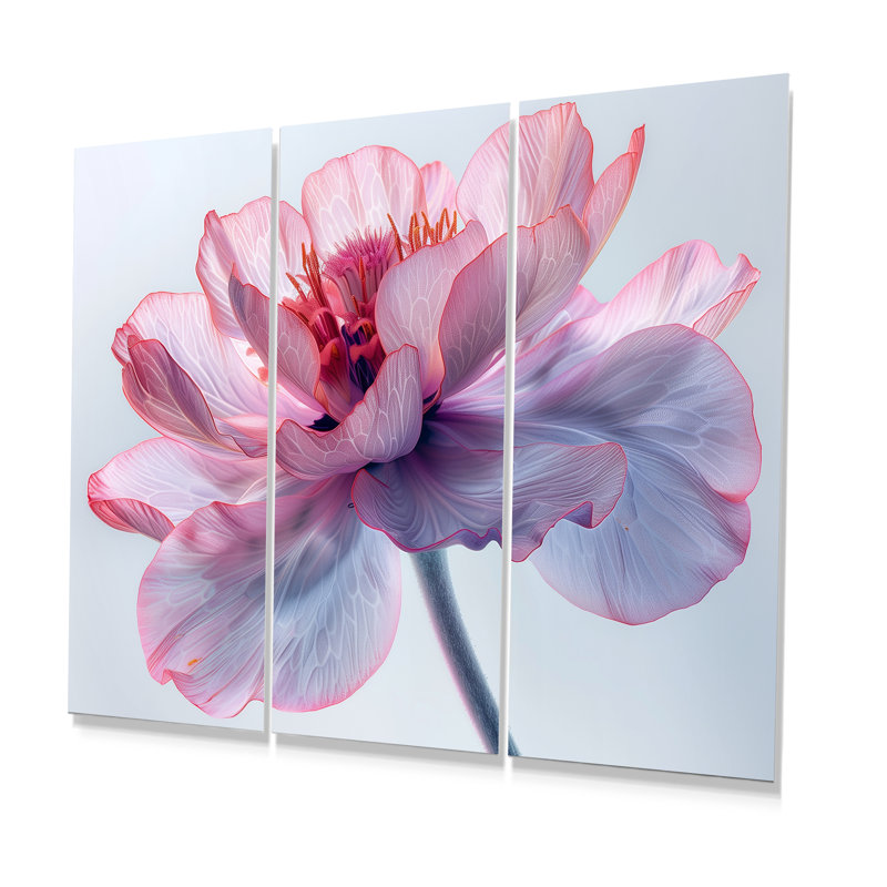 Rose, blanc, souci chaud, photo, souci, ensemble d'art mural, H 28 po x l 36 po x P 1 po