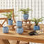 DEZIE MINI POTS-1938101427