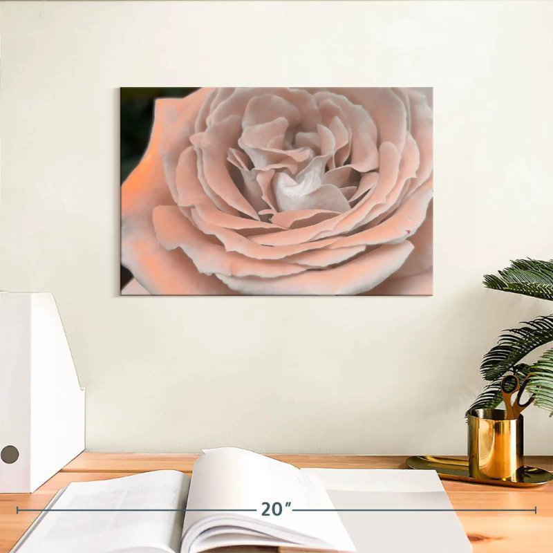 Rose pétale Harnek