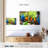 Brampt Macaw Party-108887707