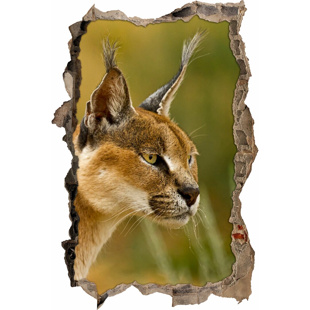 Alert Caracal Wandaufkleber