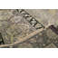 Oriental Area Rug