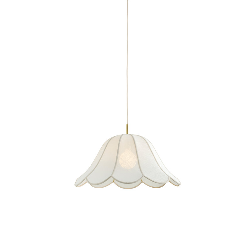 Luminaire suspendu en dôme à 1 lumière Dara, H 130,5 po x l 30 po x P 30 po, 25 W