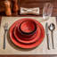 Stoneware Dinnerware - Service for 8-800511155
