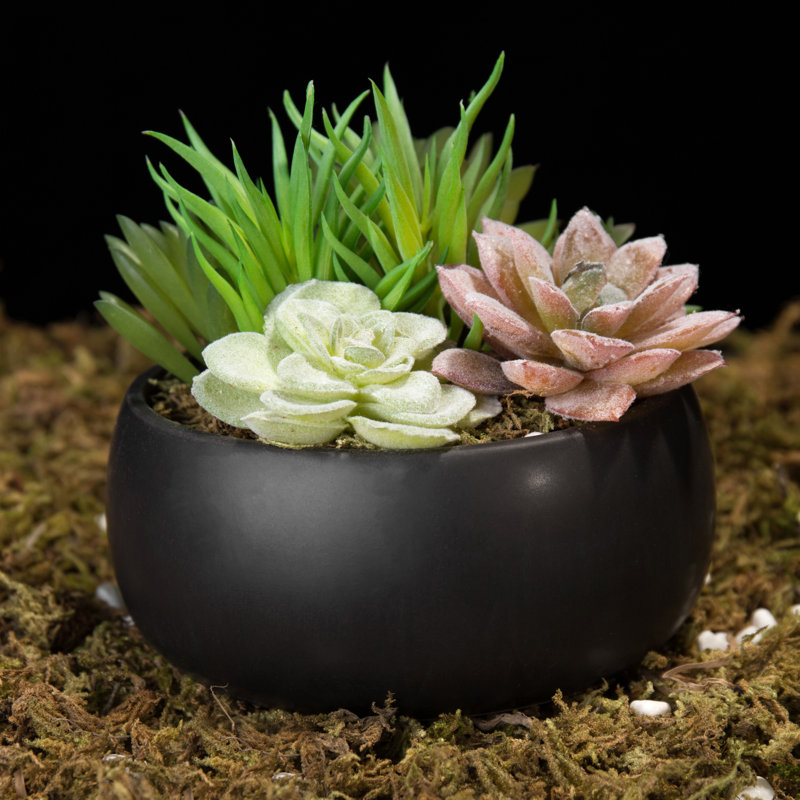 13.5cm Faux Succulent Plant in Ceramic Pot