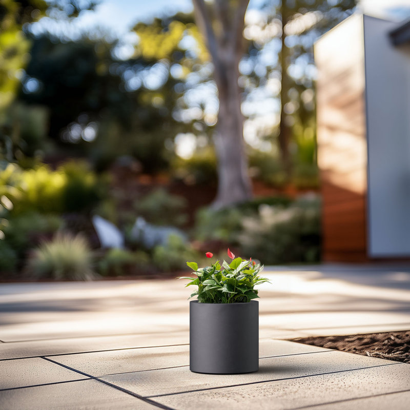 Pot à fleurs en ciment Skogh, H 10 po x l 10 po x P 10 po, Noir anthracite