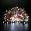 LED Indoor / Outdoor String Lights-186542885-186542880