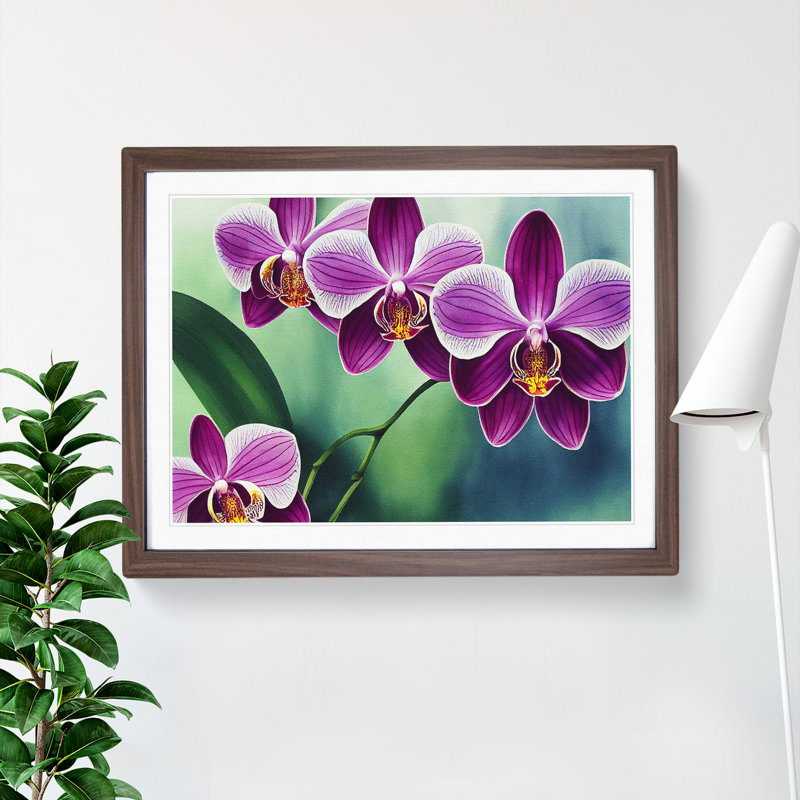Luscious Orchid Flowers 1 Piece Single Picture Frame Wall Art, 25cm H x 34cm W x 2cm D, Walnut