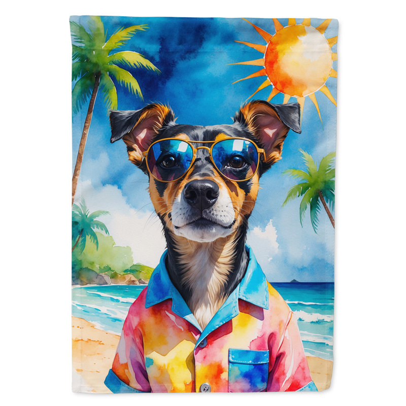 Drapeau de la maison esquimau américain, Pinscher miniature