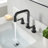 Wishful 8. in Widespread 2-Handle Bathroom Faucet-110897454