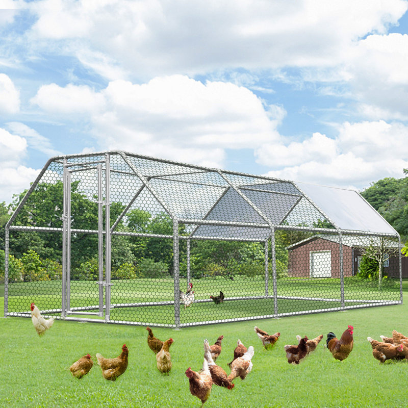 19.5 Ftx10 Ft Extra Large Metal  Chicken Run With Weather-Resistant Cover