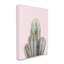 Art mural sur toile Stupell Industries Blush Cactus-91307233-91307234
