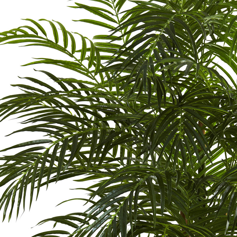 Areca Palm Tree in Pot, 78" H x 60" W x 45" D
