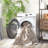 Eeli Washable Performance Machine Washable Oriental Rug-1716523273