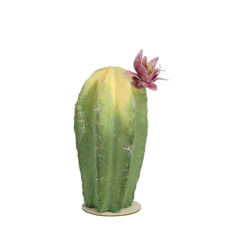 Cactus vert et jaune de 8,5 po sur une base en bois avec fleur