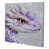 Wrapped Canvas is unavailable
