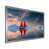 Silver Single Picture Framed