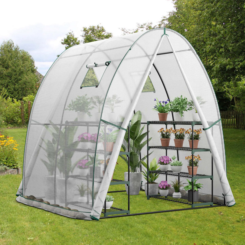 Serre l 72 po x P 72 po, Blanc