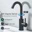 Robinet de lavabo noir à poignée unique avec bonde
