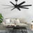 Ariella - Eight Blade Ceiling Fan-1776851489-1776851491